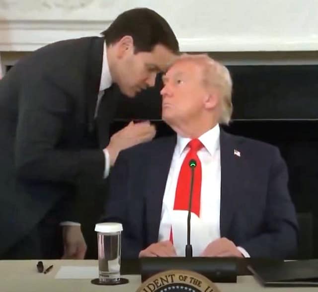 rubio